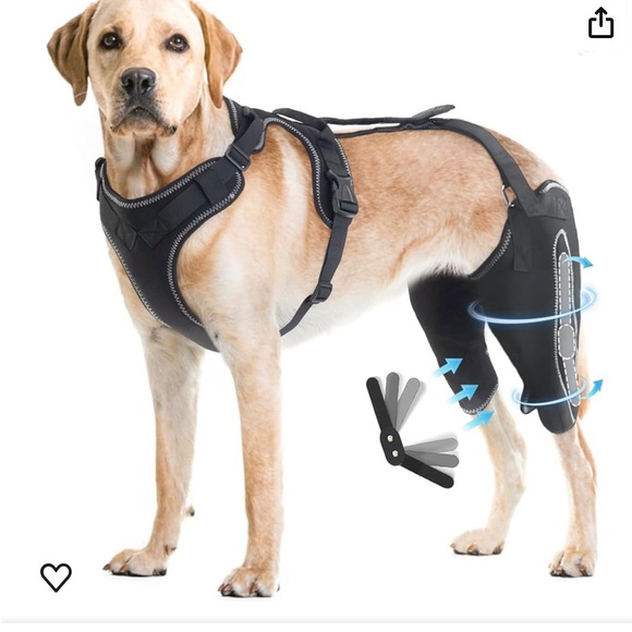 CHAMIN/RISURRY Dog Knee Brace
Visit >
Support for Back Legs with Metal.. - Picture 3 of 4